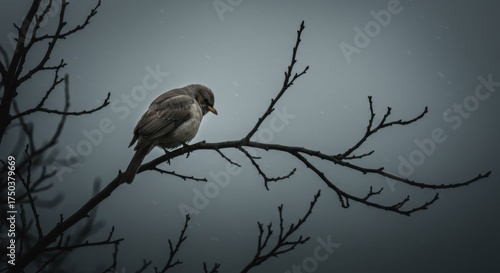 Bird perched on a branch during a snowstorm