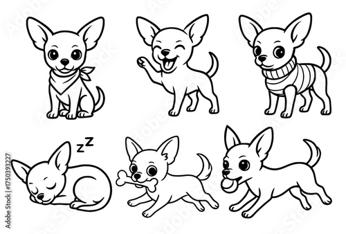 Dog vector outline for coloring, collection of 6 chihuahua