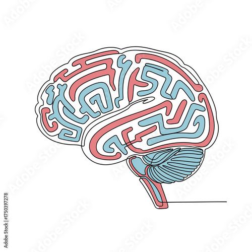 Brain illustration showing the human mind and its functions.