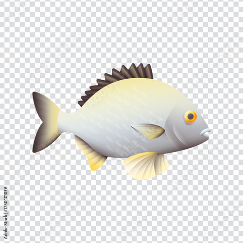 Bream Fish Icon