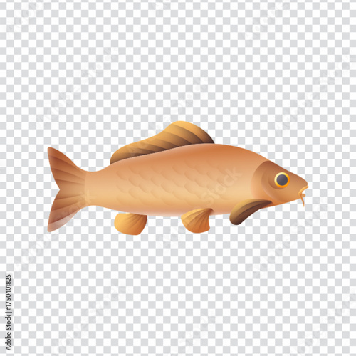 Carp Fish Icon