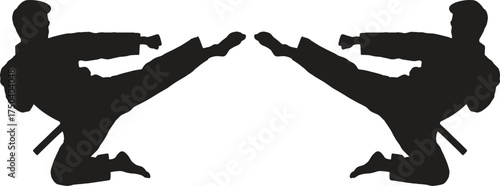 Silhouette of two martial artists performing high kicks in combat stance, ideal for karate, taekwondo, self-defense, fitness, sports branding, competition posters, and stock visuals for action, discip