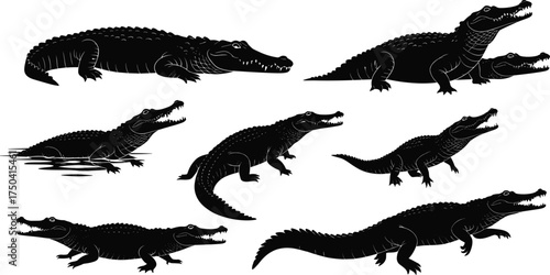 MobileCrocodile silhouette collection, wild reptile vector, animal poses, predator illustration, wildlife design, dangerous reptile art, alligator shape, nature graphic