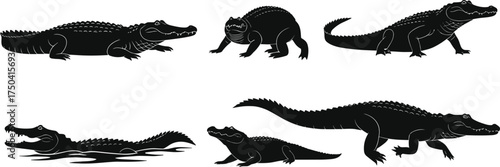 MobileCrocodile silhouette vector, alligator reptile illustration, wild predator animal, dangerous reptile art, wildlife design, swamp predator graphic, nature reptile shape