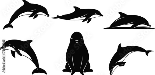 MobileDolphin silhouette vector set, sea lion clipart, marine animal icons, ocean wildlife illustration, black design, swimming pose, nature art