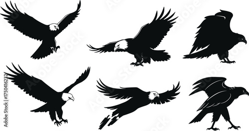 MobileEagle silhouette vector set, flying and perched poses, majestic bird illustration, raptor clipart, black and white eagle graphic design
