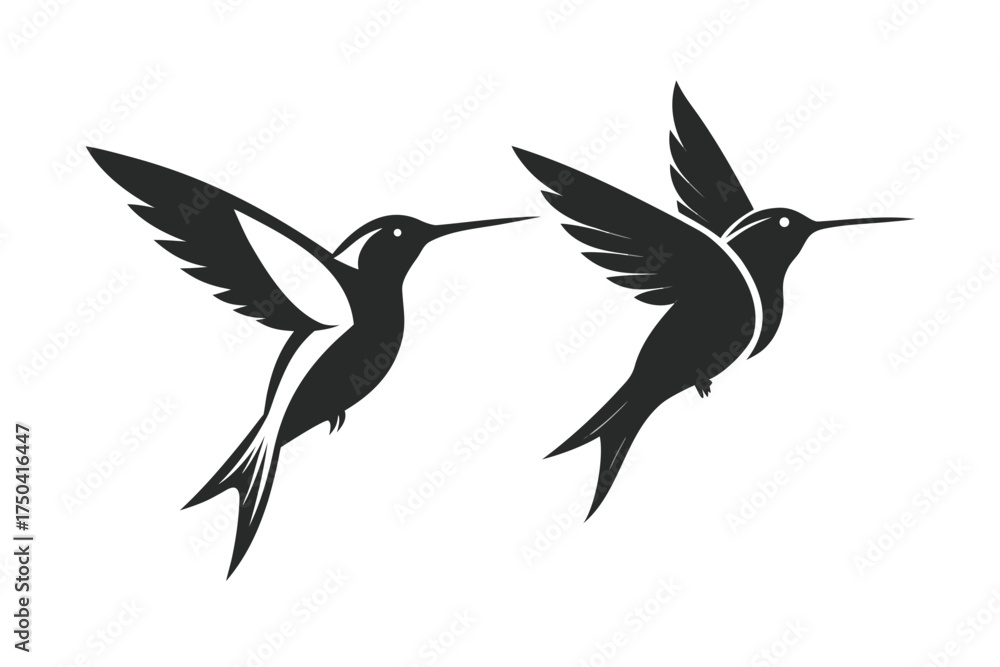 Obraz premium Flying hummingbird vector silhouette illustration