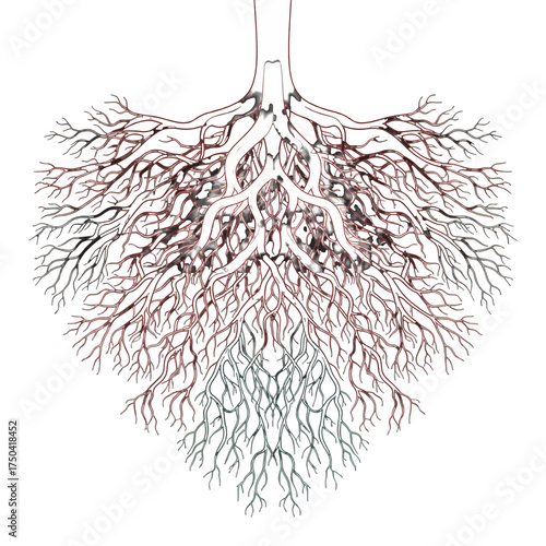 Intricate Root System Depiction Illustrating Growth and Structure.
