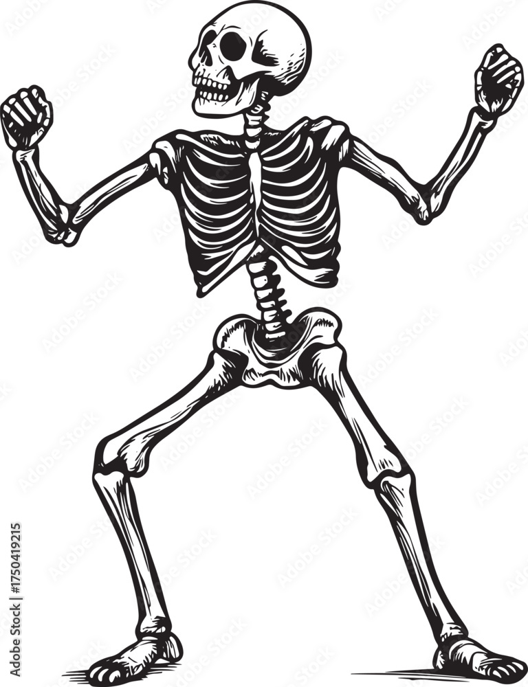 Fototapeta premium A skeletal figure in a dynamic pose, with arms raised and legs apart, vector illustration