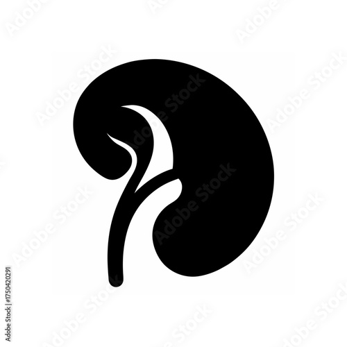 Stylized kidney illustration in black ink on transparent background silhouette