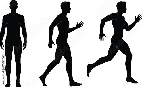 silhouette, standing, walking, , progression, physical activity, educ