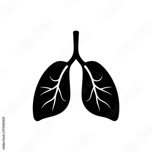 Illustration of lungs with veins in black on transparent background silhouette