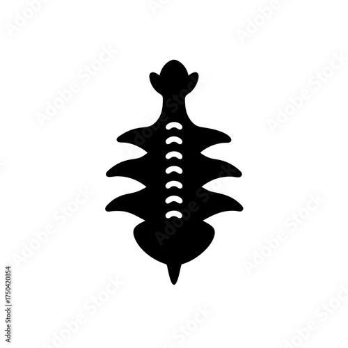 Silhouette of a spine with ribs and skull on transparent background