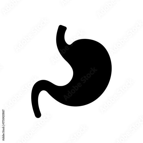 Silhouette illustration of human stomach on transparent background