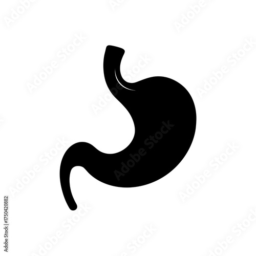 Illustration of a human stomach in black on transparent background silhouette