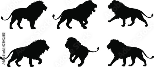 MobileLion silhouettes, wild animals, walking lion, standing lion, lion poses, black vector lion, muscular build, majestic mane, editable design, predator shapes