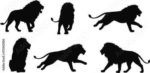 MobileLion silhouettes, wild animals, leaping lion, walking lion, sitting lion, lion poses, black vector lion, majestic mane, editable design, predator shapes