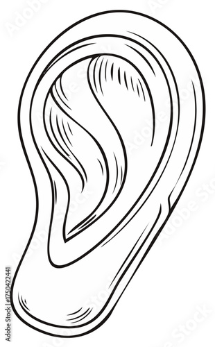 Hand drawn human ear icon, simple black and white line art illustration of an anatomical hearing organ