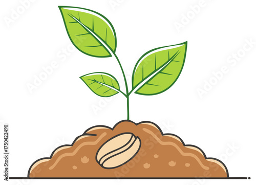 Coffee plant seedling sprouting from a bean in soil illustration