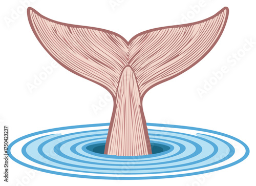 Majestic marine mammal tail fluke diving into deep blue ocean water generating concentric ripples vector illustration