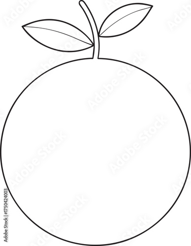 Oversized orange fruit drawing simple outline vector graphic element for healthy diet