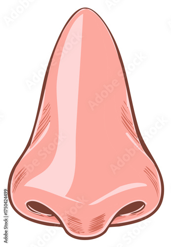 Illustration of a human nose in a cartoon style with outlines.