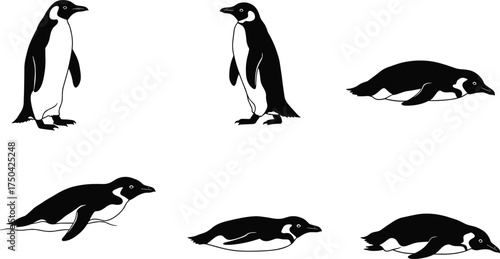 MobilePenguin silhouette vector set, sliding penguin poses, tobogganing movement illustration, arctic animal clipart, black and white penguin, wildlife graphic