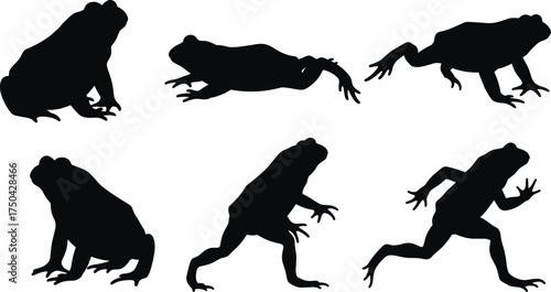 MobileSet of black vector silhouettes of a frog or toad in six different active poses, including sitting, walking, and running, isolated on a white background for design