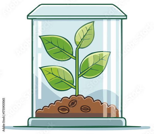 Plant growing in a glass terrarium with soil and seeds illustration