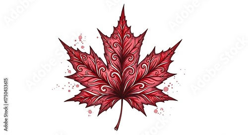 Detailed Red Maple Leaf Illustration with Intricate Swirls.