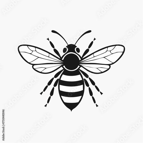 Detailed black and white illustration of a bee insect.