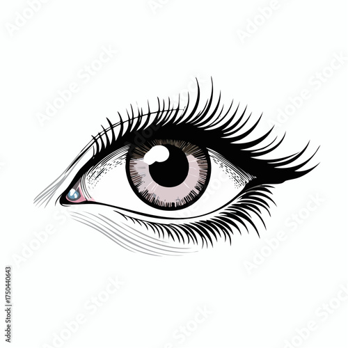 Detailed illustration of a human eye with long eyelashes and a colorful lower lash line.