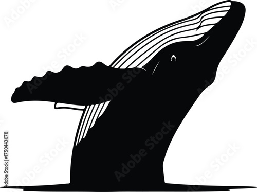 Vector silhouette humpback whale breaching water surface illustration