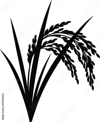 Vector silhouette of rice plant agriculture harvest symbol illustration