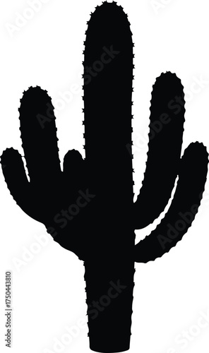Vector silhouette saguaro cactus desert plant botanical illustration