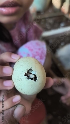 A little girl shows the hatching process of a chicken egg