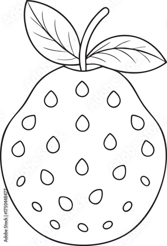 Line art guava fruit drawing simple sketch for coloring fun tropical artwork ideal for kids and artists projects