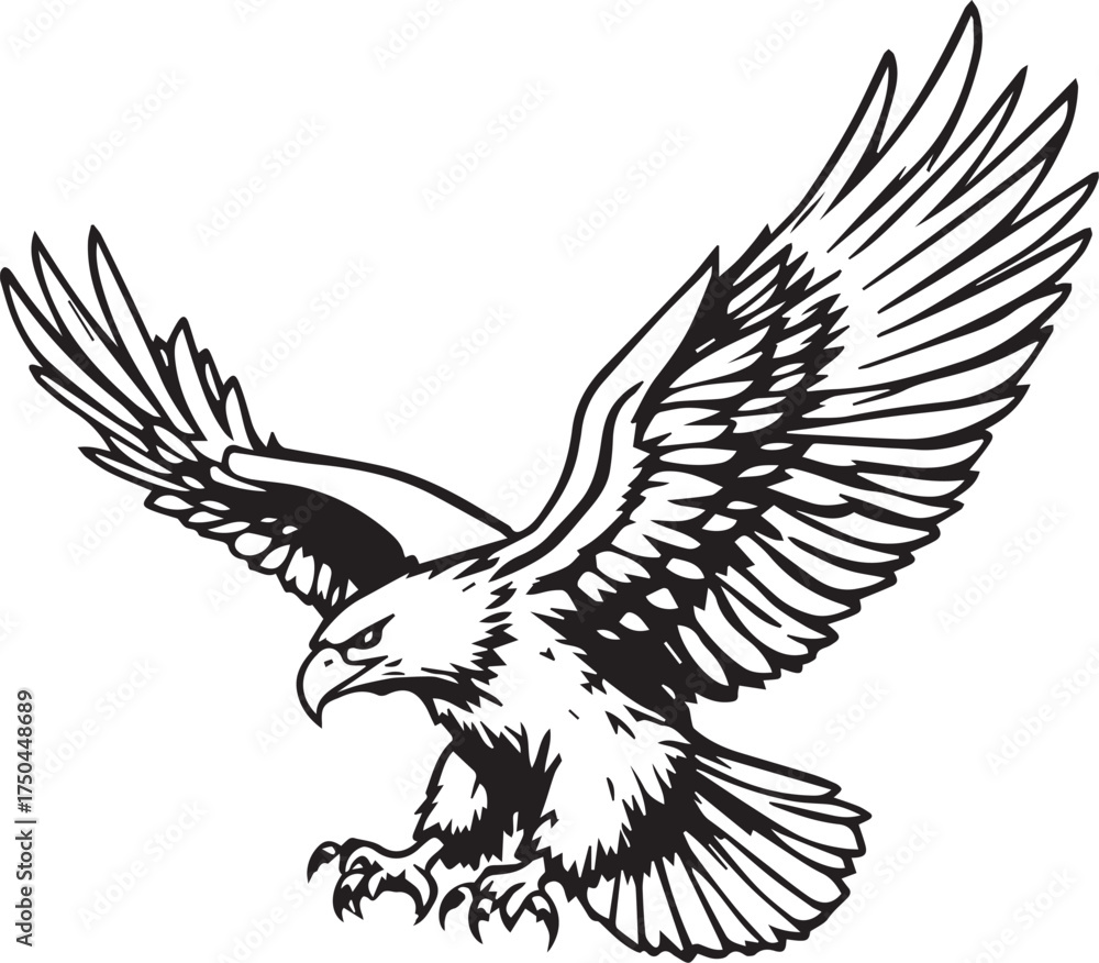 Fototapeta premium Eagle in Flight Vector – Black and White Line Art with Spread Wings, Talons, Feathers, and Fierce Focus