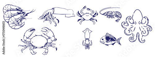 Vector illustration background, wallpaper, backdrop. Vintage hand drawn sketch. Collection of seafood