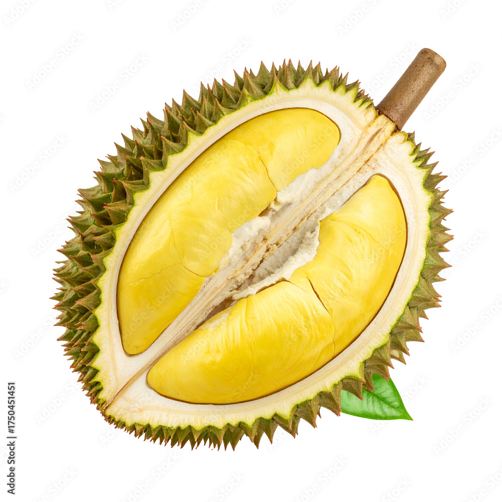 Fototapeta premium A spiky, cut-open tropical fruit reveals creamy yellow segments. One leaf is visible