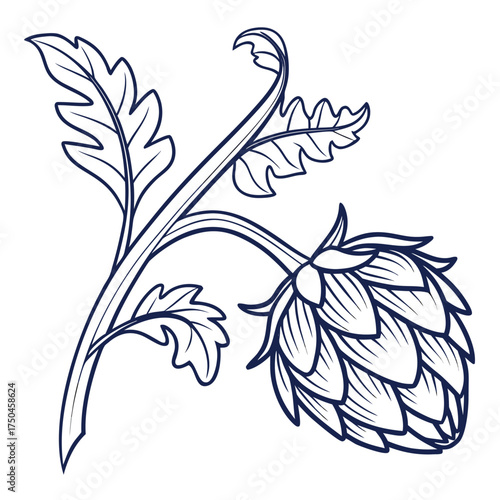chinese artichoke with leaves