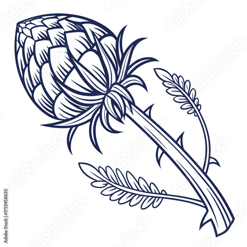 chinese artichoke vector