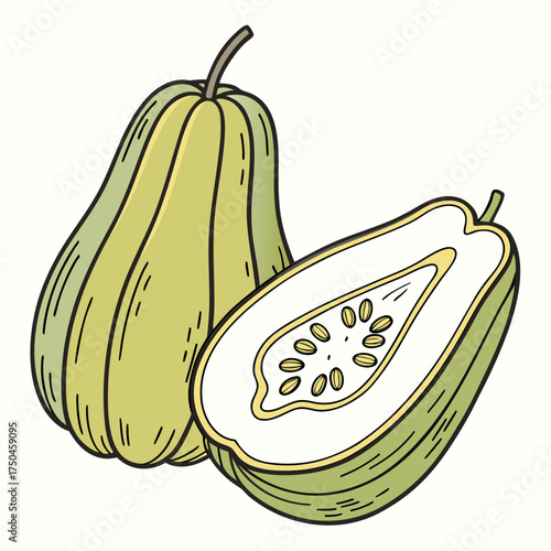 chayote squash on white background 