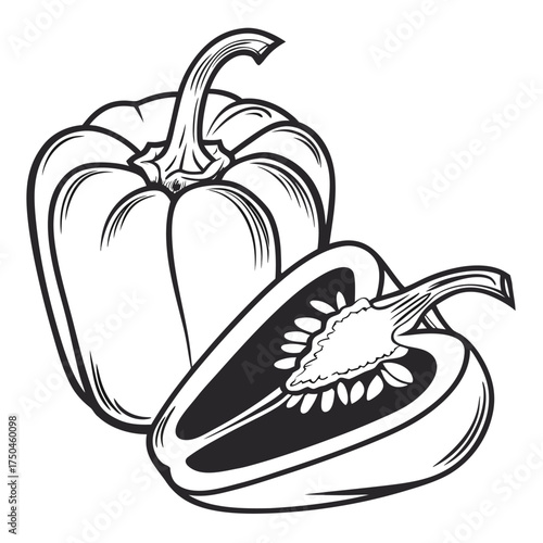 capsicum vector