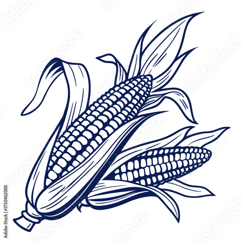 blue corn with leaves