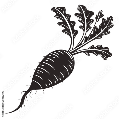 black radish with leaves