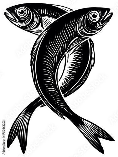 fish vector illustration