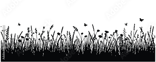 Wildflower Meadow and Grass Silhouette Border, vector, illustration.