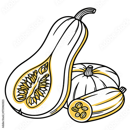 banana squash vector