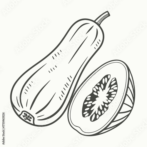 banana squash on white background 